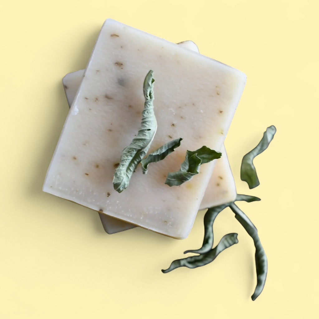 Lemon Verbena  -Olive Oil Soap