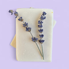 Lavender - Soap