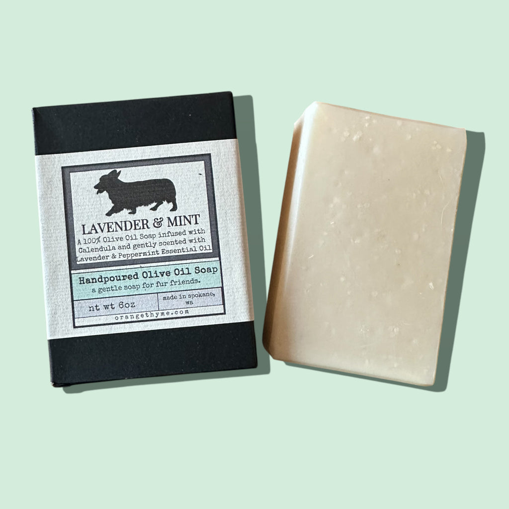 Dog Shampoo Bar - Lavender + Mint