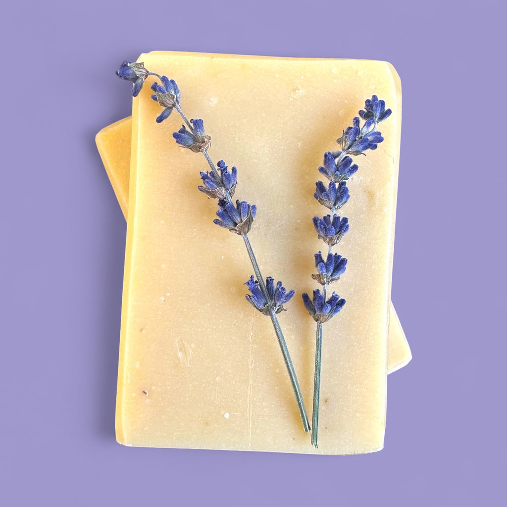 Lavender + Sweet Orange Soap
